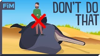 Why dead Whales are so dangerous