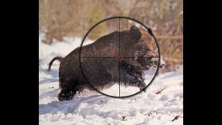 ПРИВАДА НА КАБАНА
