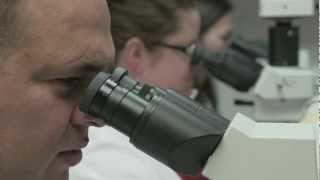 Dept of Pathology, Immunology & Laboratory Medicine, University of Florida