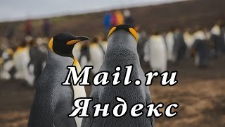 Сбор почты с Mail.ru и Яндекса. Как сделать, настройка