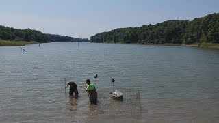 Lake Shelbyville Vegetation