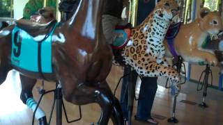 Max's first time on the carousel!