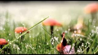 Beethoven ~ Piano Concerto No.5 "Emperor" II Mov. ~ Russell Sherman