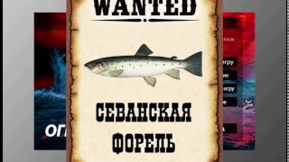 Ловим мутантов в РР3. Севанская форель.