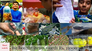 GALIFF STREET FISH MARKET WITH SELLER MOB NO (2020 COLLECTION)