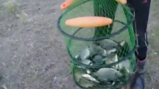 Орехово .рыбалка на озере.(так называемом.) )))))