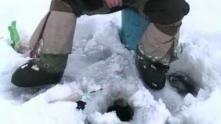 Рыбалка и охота 2015 Зимняя рыбалка Видео зимней рыбалки смотреть Зимняя ловля видео смотреть Секрет