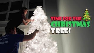 Time for the Christmas Tree ? (WK 360.4) | Bratayley