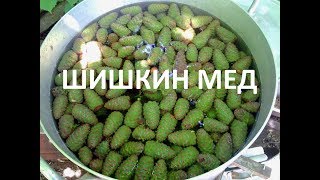 ШИШКИН МЕД ГОТОВ! Дегустация))
