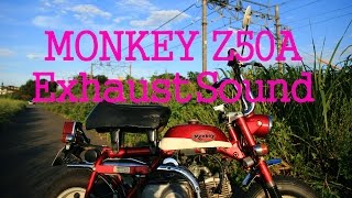 Honda Monkey Z50A (Z50Z) Exhaust Sound