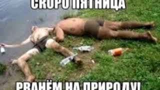 СИНИЕ КЕНТЫ И ГРИНПИС ДА-Владимир Герасименко-песня