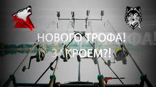 Русская Рыбалка 4! РР4! RF4! Новый Троф Будет?