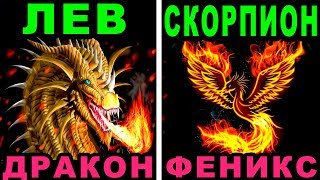 КАКОЕ ВАШЕ ТОТЕМНОЕ ЖИВОТНОЕ ПО ЗНАКУ ЗОДИАКА? Животное талисман по знаку зодиака