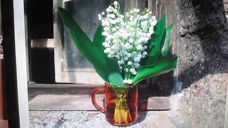 Многослойная #живопись - Как написать ландыши - #уроки рисования (часть 1)