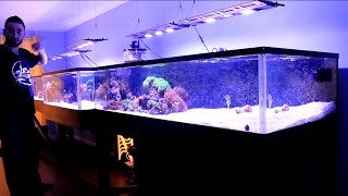 REEF TANK ADDICTION Season 2 Episode 3 ( 410 Gallon saltwater coral reef 16 feet long )
