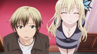 THE BEST English Dubbed Ecchi/Harem/School Anime (Scores from MAL)