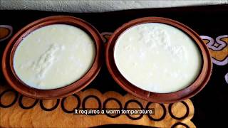 जुजु धौ | Must-Try |World's Famous Nepali Homemade Curd Recipe |Yogurt King |How To Make Nepali Dahi