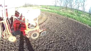 New Holland на полях сражения, сею кукурузу,день второй