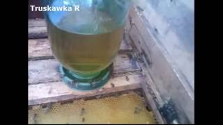 Сахарная подкормка пчёл. Плюсы и минусы.