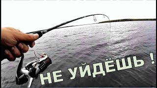 Клёв рыбы в ветер. Влияние ветра на клёв. Щука. Окунь. Судак
