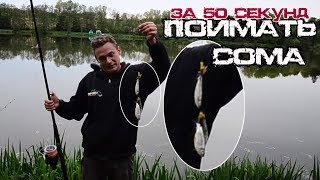 Как поймать сома за 50 секунд