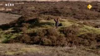 Nationale Landschappen - Drentsche Aa