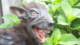 10 САМЫХ ЖУТКИХ НАЙДЕННЫХ СУЩЕСТВ, и кем они оказались на самом деле