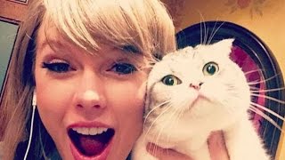 Taylor Swift - Funny Moments (All 2015★)