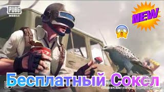 Как бесплатно получить Сокол и рамку?