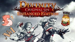 Прохождение Divinity Original Sin Enhanced Edition Серия 1 "Два двуличных авантюриста"
