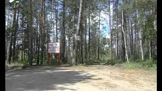 Противопожарный режим