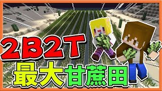 『Minecraft 2B2T生存』最大甘蔗田 !! 超紓壓聖地~保證不會被炸？【巧克力】