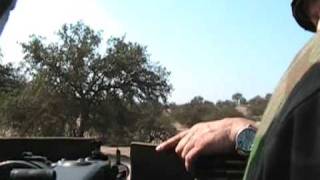 Fallschirmjager MG42 Hanomag SdKfz251