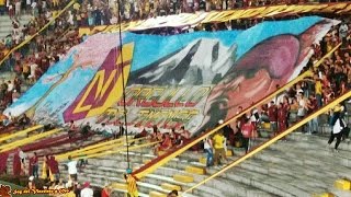 REVOLUCION VINOTINTO SUR (TOLIMA VS BOLIVAR)