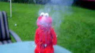 Tickle me emlo with a mouth full of fire crackers