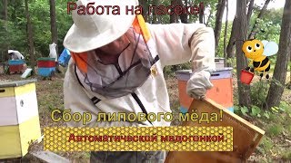 Работа на пасеке. Сбор липового меда!