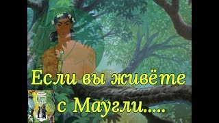 Жизнь с Маугли
