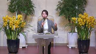 백송교회 배지희 목사 - 보혈을 지나 하나님 아버지 품으로 (히 9:11-22)