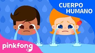 ¿Por Qué? Lágrimas y Colores de Piel | Cuerpo Humano | Pinkfong Canciones Infantiles