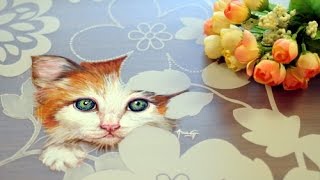 Como pintar un Gato - Individual para mesa - Esmaltes Acrilicos - Ana Gjurinovich