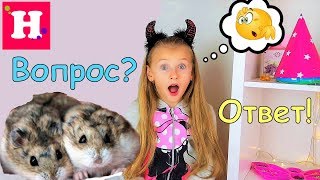 ВОПРОС-ОТВЕТ / Где хомячки?У Николь появилась симпатия? Настоящая фамилия Мисс Николь