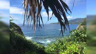 与論島と海！ 水中編