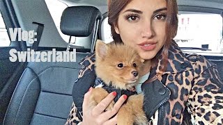 Vlog:С подругой в Швейцарии,квартира,еда и South Park