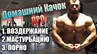 Домашний Качок про Воздержание, Вред Мастурбации и Порно.