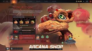 ?НОВЫЙ КОМПЕНДИУМ NEW BLOOM 2019. NIAN КУРЬЕР. ЧТО ВНУТРИ?