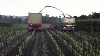 Maissilo fahren mit Can-am Quad ATV / Claas Jaguar 6 Reiher Mähdrescher Canam Rotax Motor