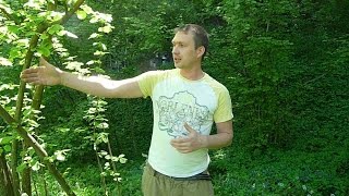Эко-хозяйство / Мини-ферма / Биогазовая установка