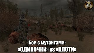 Сталкер | Бои с мутантами | «Одиночки» vs «Плоти»