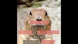 CRAZY 8'S  2/2/22 - 2/8 WEEKLY GENERAL DIVINE & ILLUMINED BEINGS TAROT READING