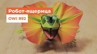 Робот-ящерица OWI 892